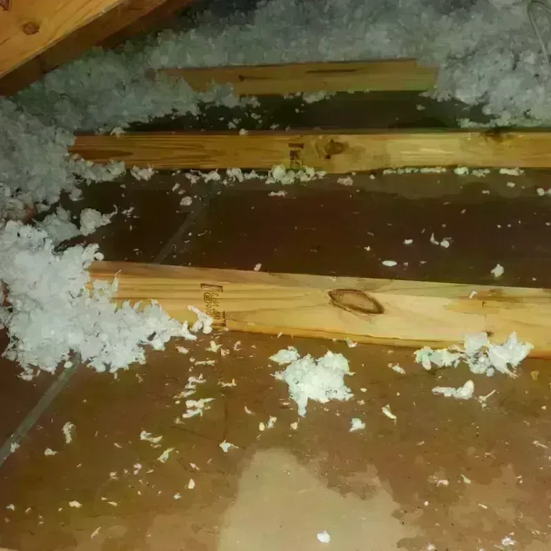 Attic Water Damage in East Hampton, CT